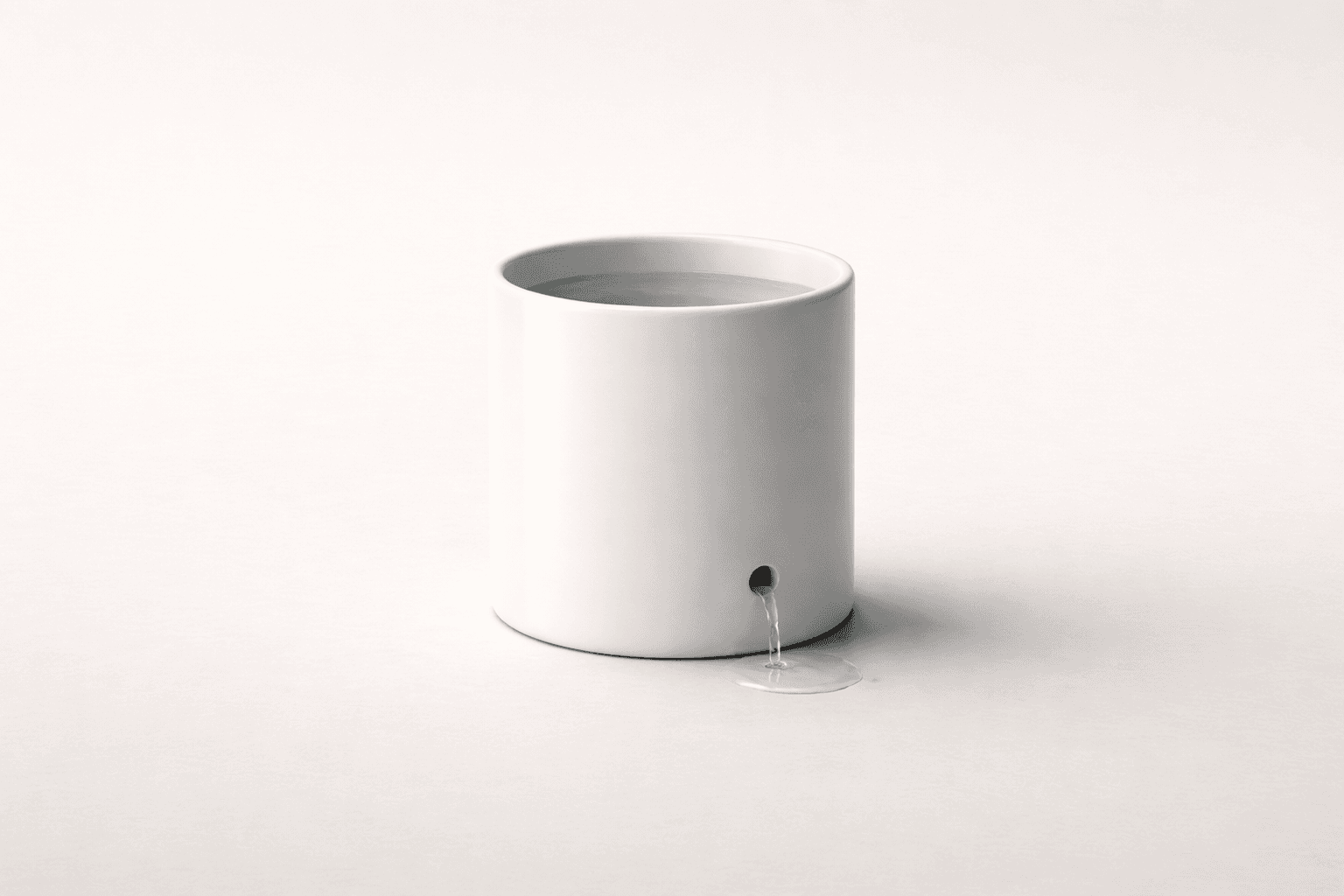 I Incorporated 5 Years Too Early